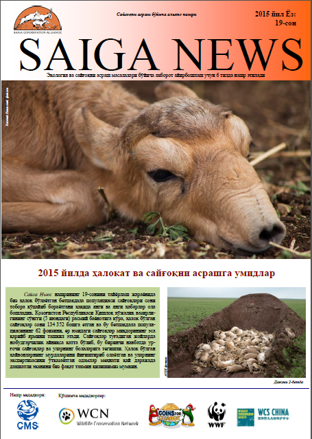 Uzbek-saiga-news-summer-2015-issue-19