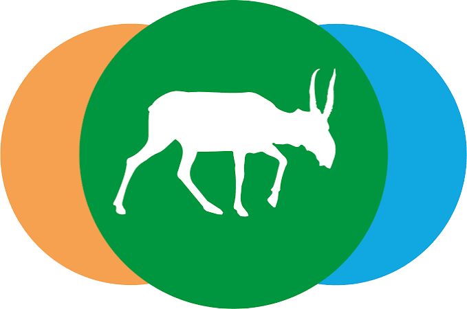 Institute of Zoology of Kazakhstan