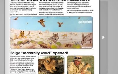 Autumn edition of Saiga Spotlight out now