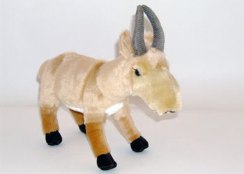 Ever Wanted to Adopt a Saiga?