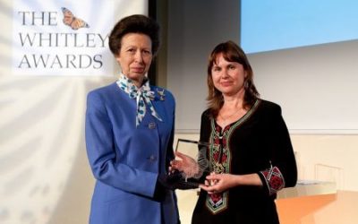SCA’s Elena Bykova presented prestigious Whitley Award for her work engaging communities in saiga conservation